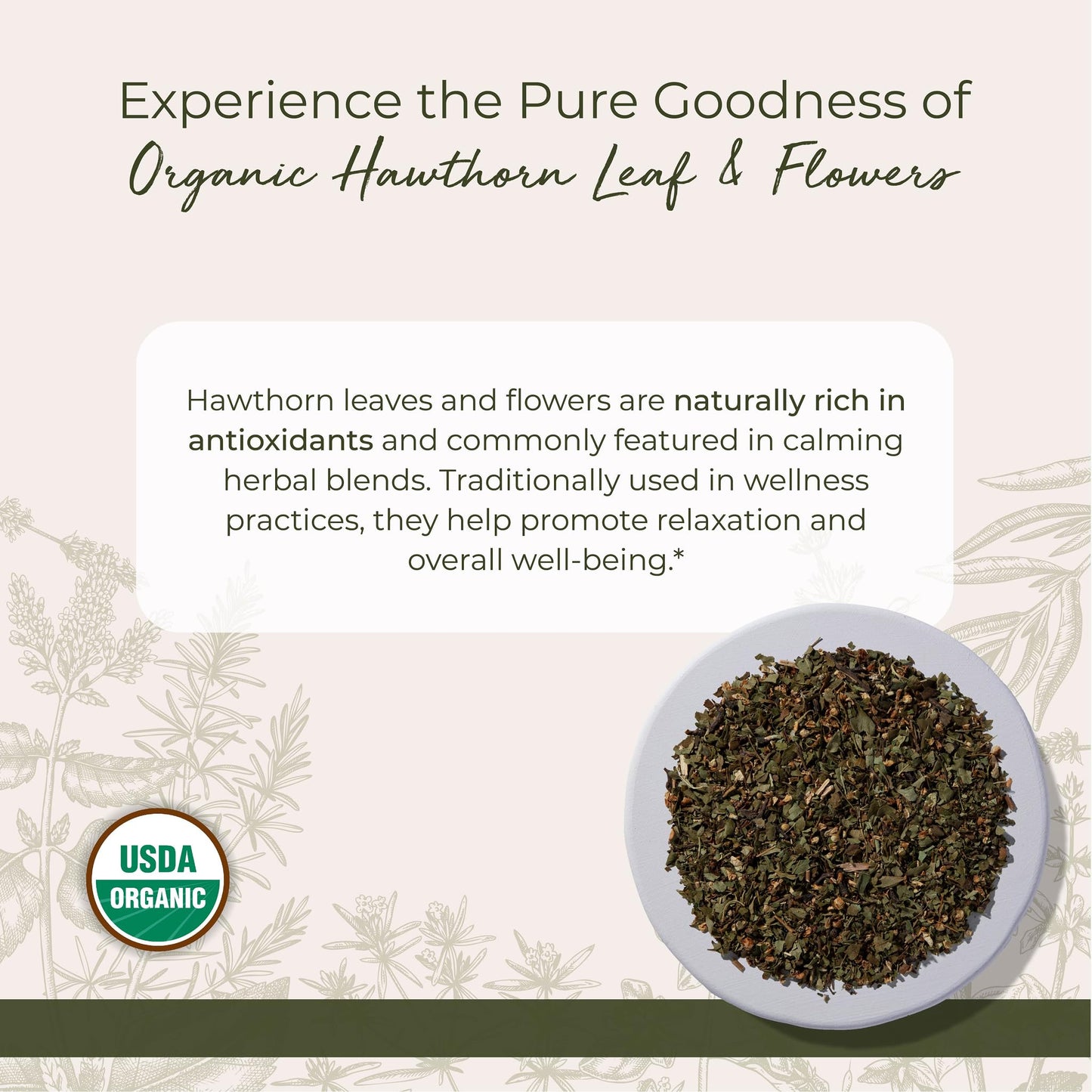 Starwest Hawthorn Leaves & Flowers - Organic Dried Hawthorn Tea, 4 oz