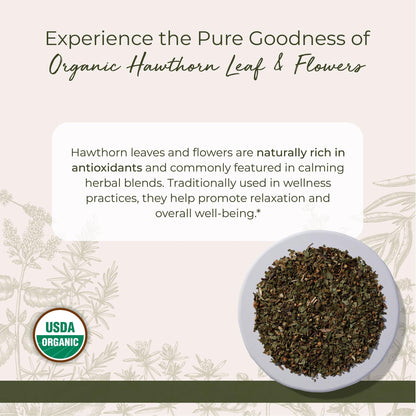 Starwest Hawthorn Leaves & Flowers - Organic Dried Hawthorn Tea, 4 oz