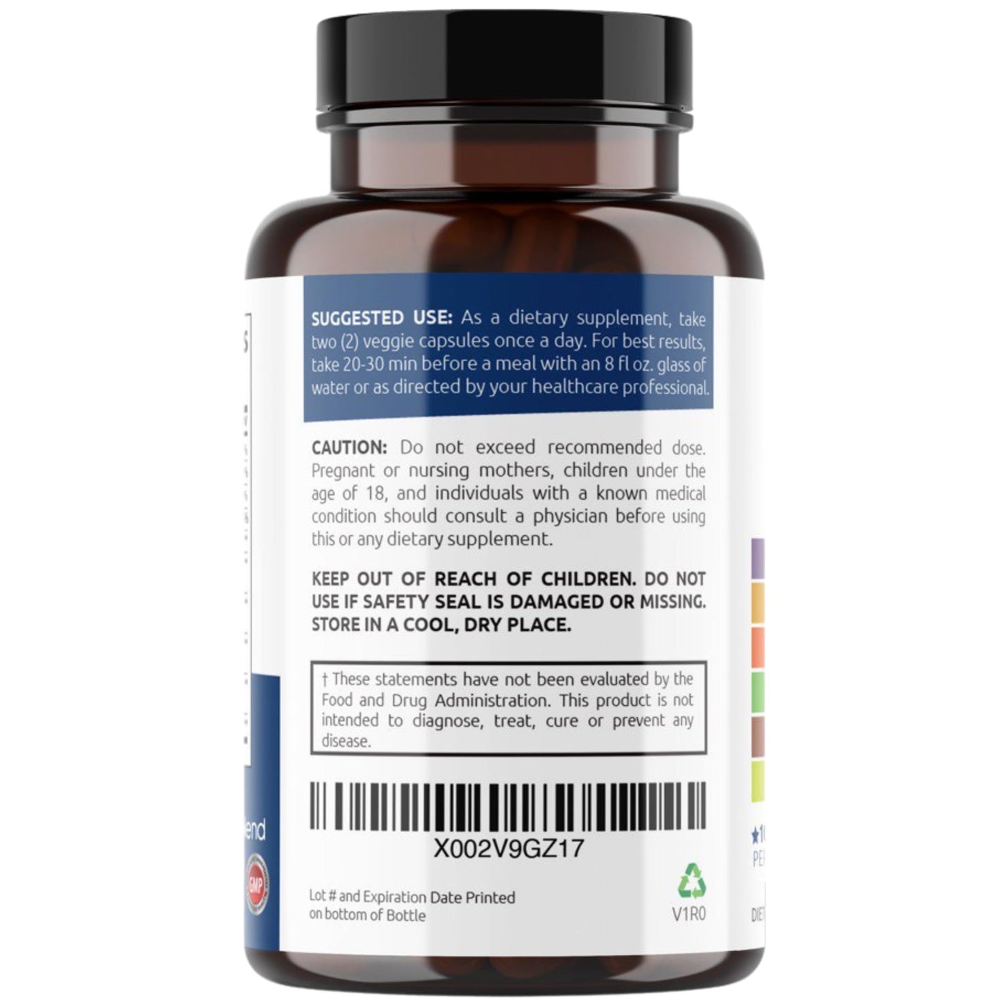 HealBlend 10 in 1 Immune Support Supplement Booster – Elderberry, Zinc, Echinacea, Turmeric, Probiotics | Adults 120 Capsules