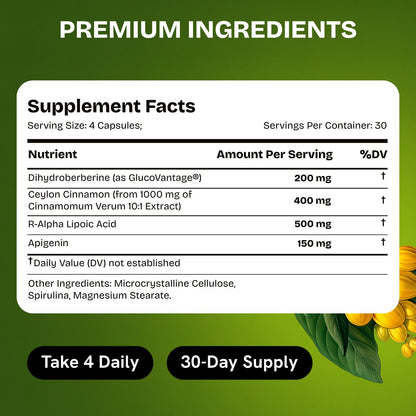 HealMeal Dihydroberberine Supplement - Enhanced Absorption Berberine with Cinnamon & R Alpha Lipoic Acid - 240 Caps (2 Packs)