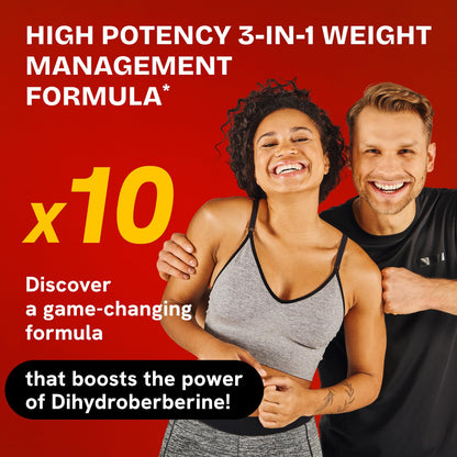 HealMeal Dihydroberberine Supplement - Enhanced Absorption Berberine with Cinnamon & R Alpha Lipoic Acid - 240 Caps (2 Packs)
