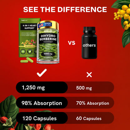 HealMeal Dihydroberberine Supplement - Enhanced Absorption Berberine with Cinnamon & R Alpha Lipoic Acid - 240 Caps (2 Packs)