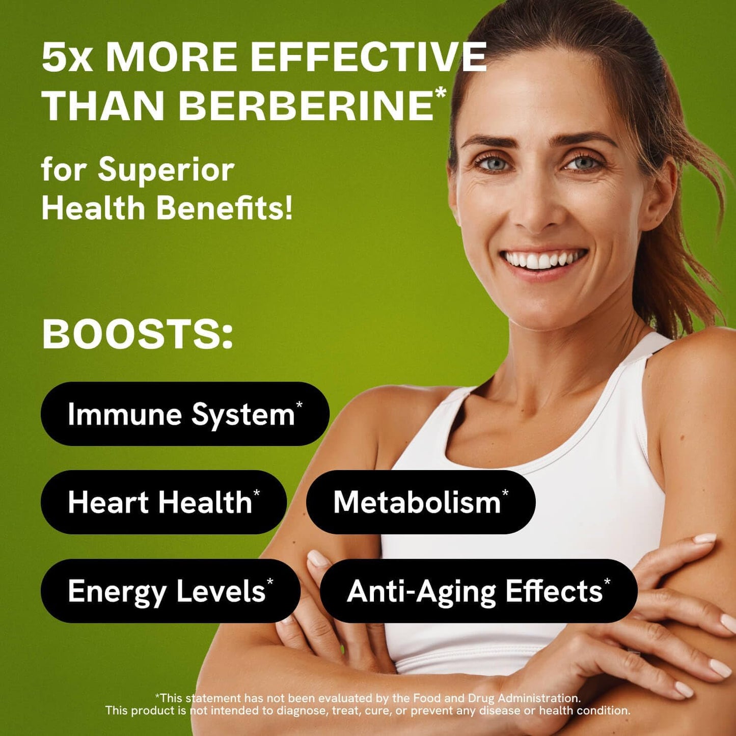 HealMeal Dihydroberberine Supplement - Enhanced Absorption with Cinnamon & R Alpha Lipoic Acid - 480 Caps (4 Packs)