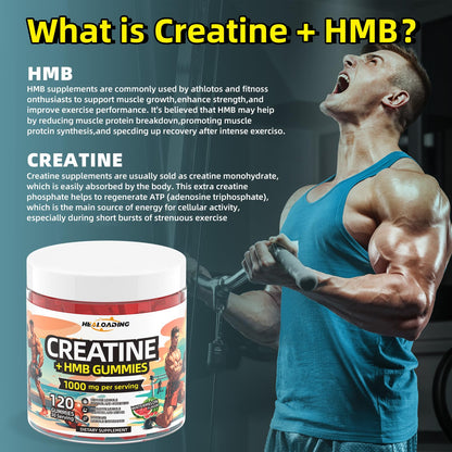 HEALOADING Creatine Monohydrate Gummies with HMB for Men – Strength, Recovery & Muscle Support