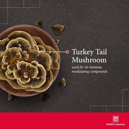 Health Concerns Coriolus PS – Turkey Tail Mushroom for Immune & Gut Health | 1500mg, 90 Capsules