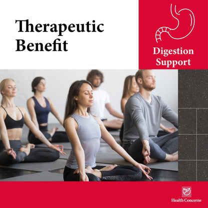 Health Concerns Stomach Caps - Digestive Support & Gut Health | 90 Capsules