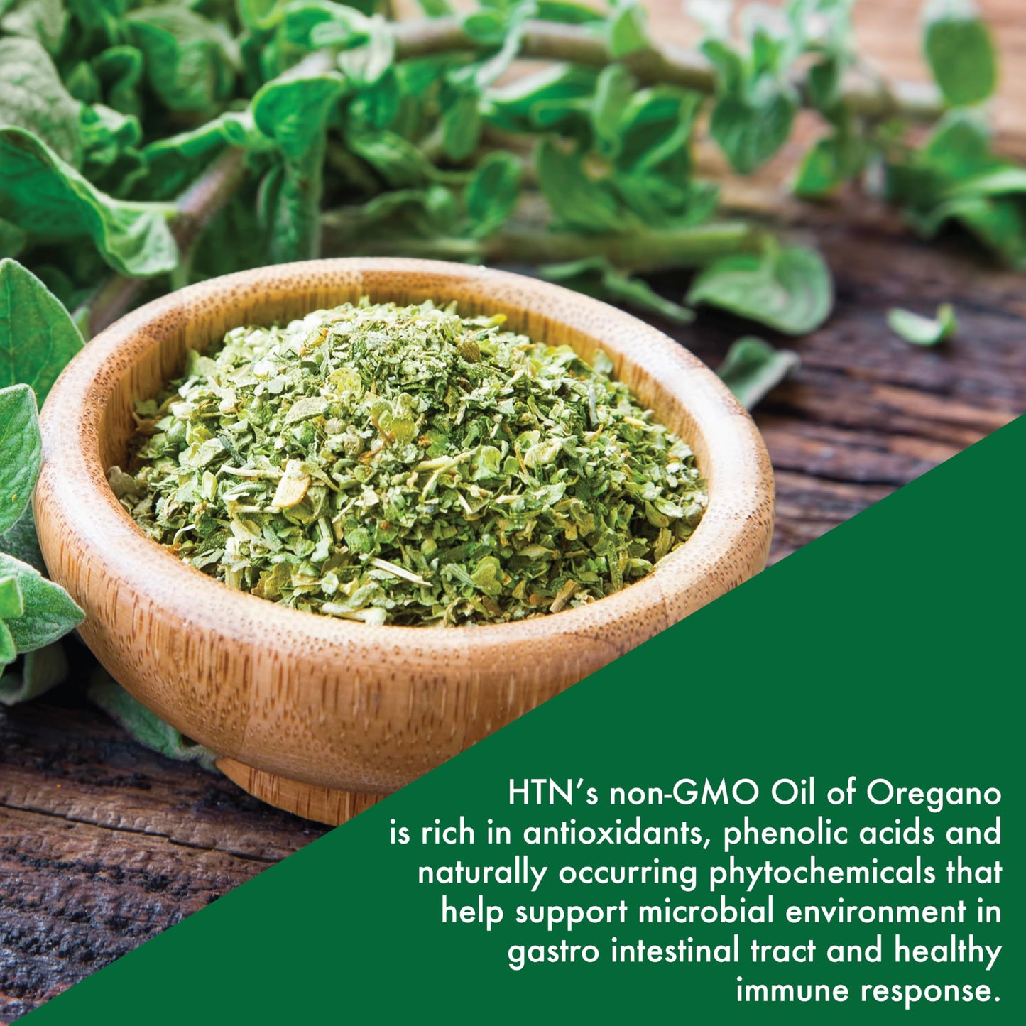 Oil of Oregano 120 Mini-Softgels – 40:1 in EVOO | Health Thru Nutrition