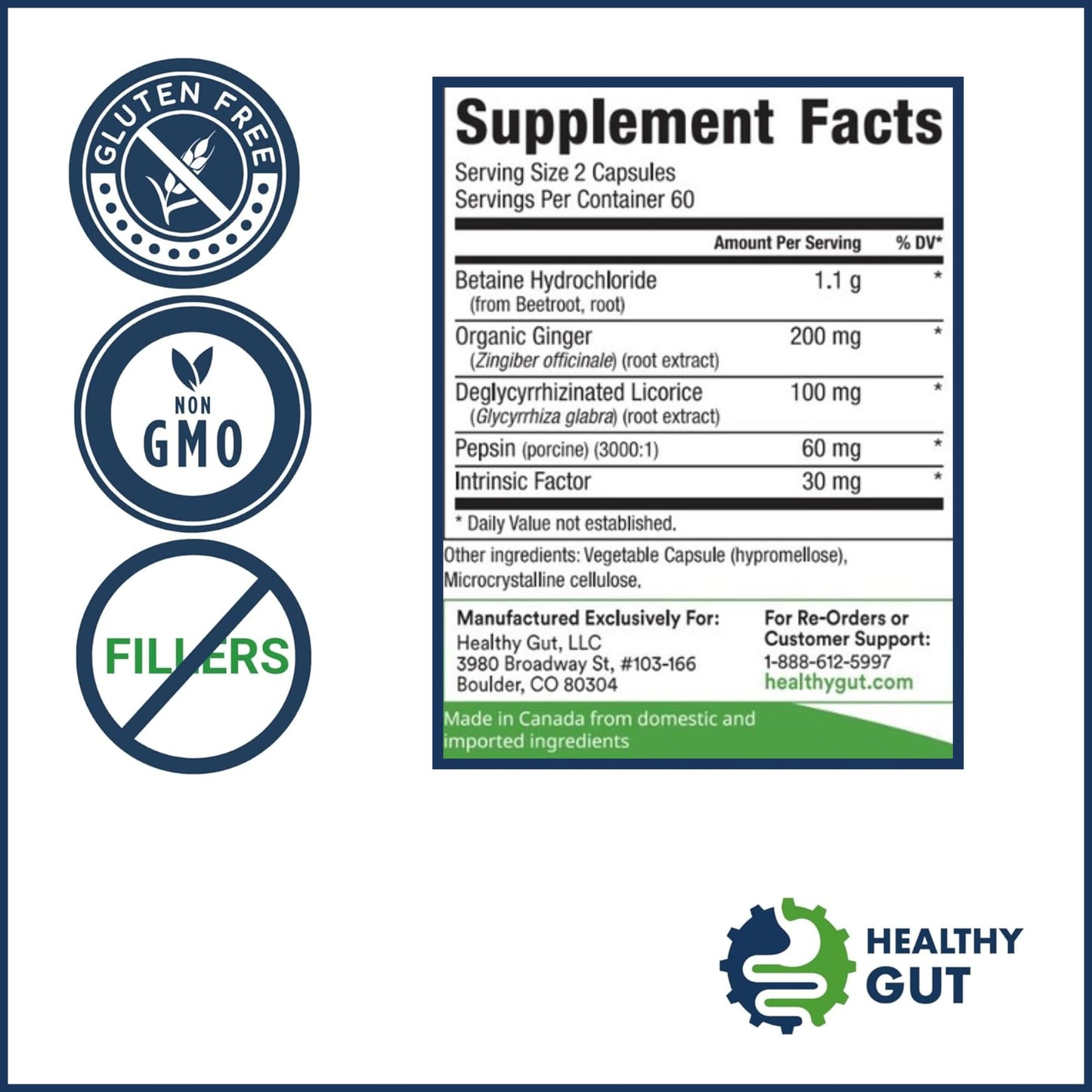 Healthy Gut HCL Guard+ | Supports Digestive Function with Betaine HCl, Ginger, DGL, Pepsin | 60 Servings