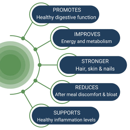 Healthy Gut HCL Guard+ | Supports Digestive Function with Betaine HCl, Ginger, DGL, Pepsin | 60 Servings