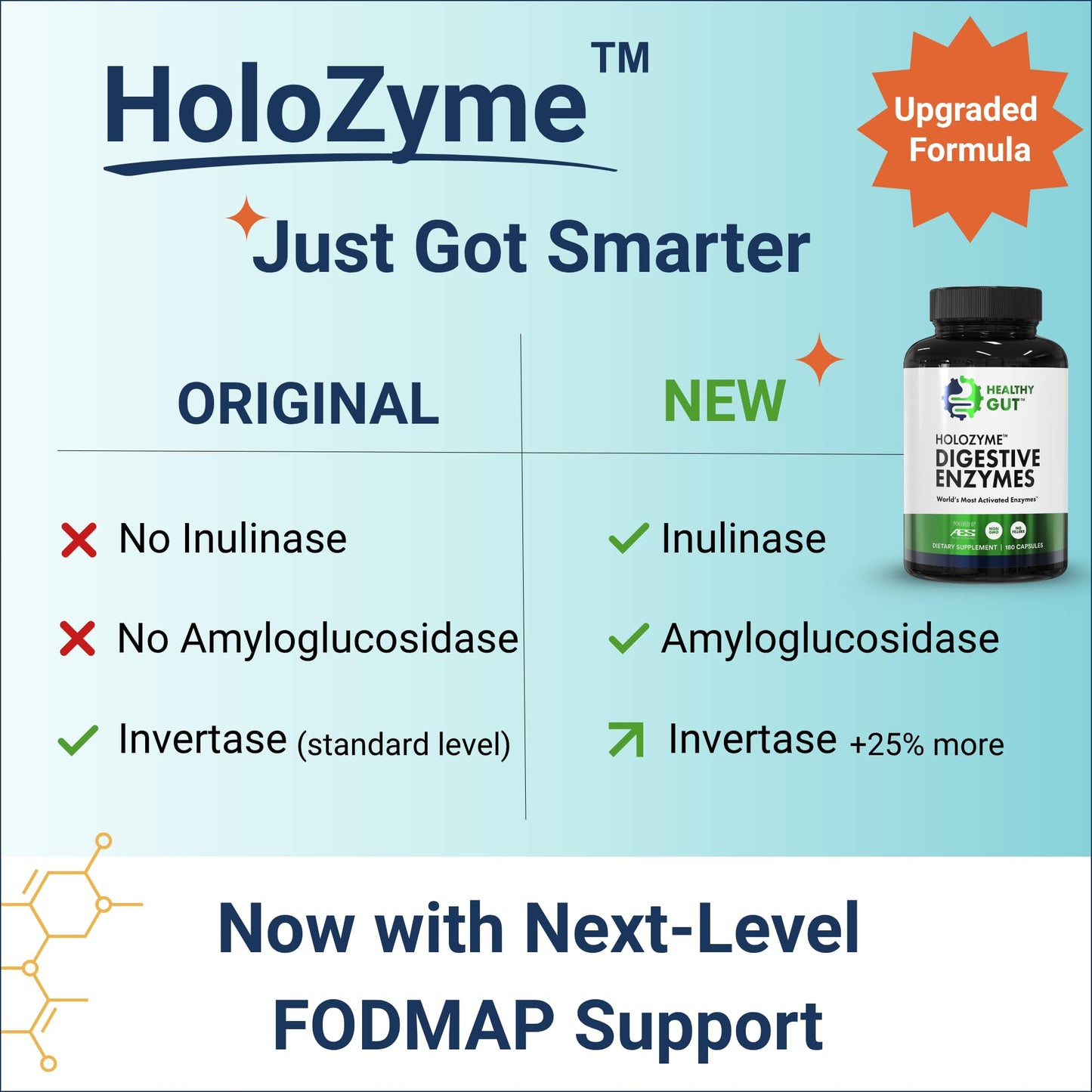 Healthy Gut HoloZyme Max Strength Digestive Enzymes | FODMAP Support with Inulinase, Amyloglucosidase & Invertase | 90 Servings