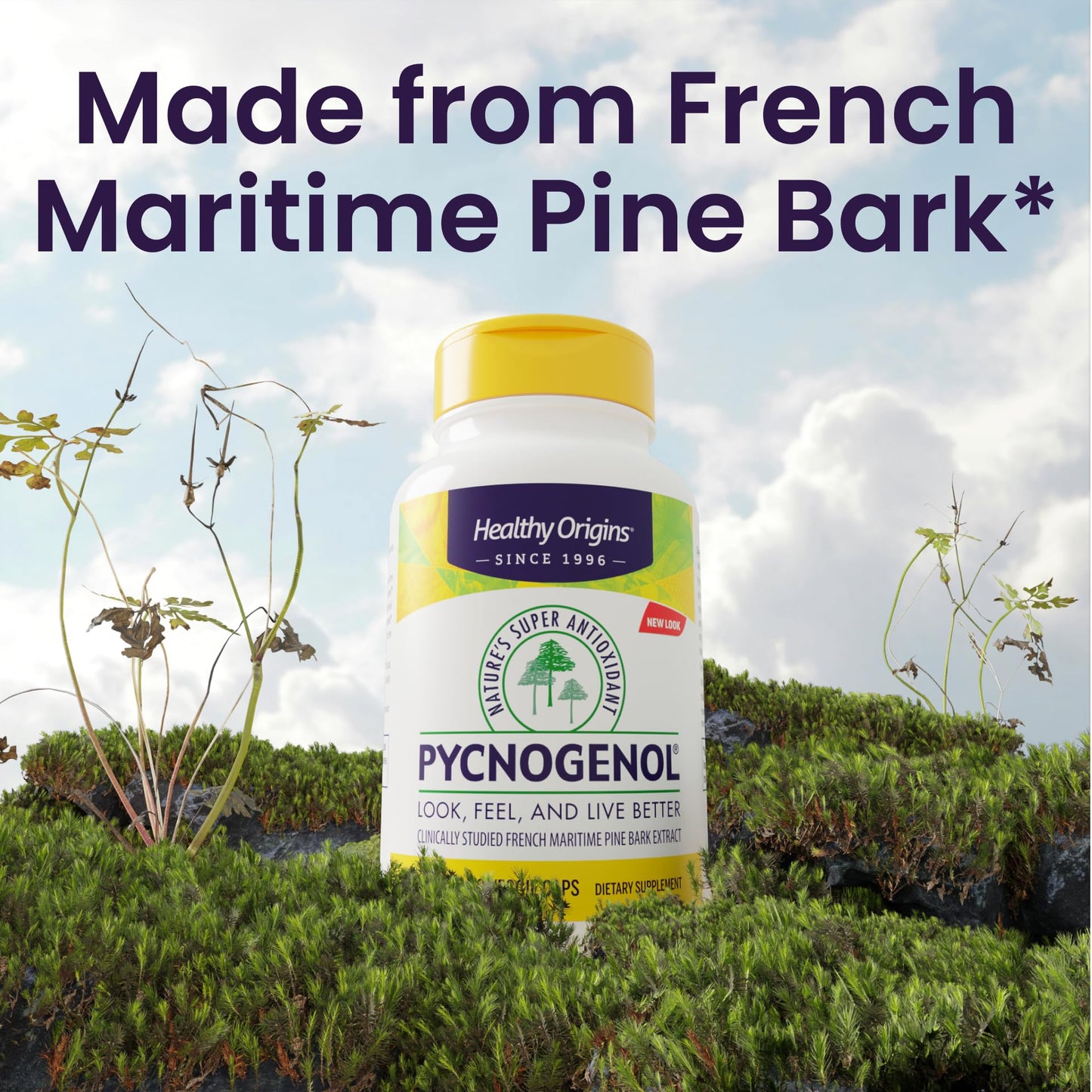 Healthy Origins Pycnogenol 150 mg - French Maritime Pine Bark Extract (Vegan, Non-GMO)
