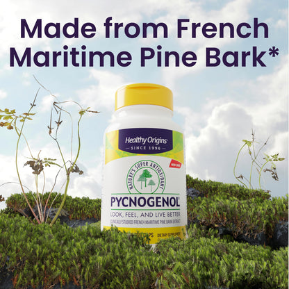 Healthy Origins Pycnogenol 150 mg – French Maritime Pine Bark Extract, Non-GMO, Vegan, 60 Veggie Capsules
