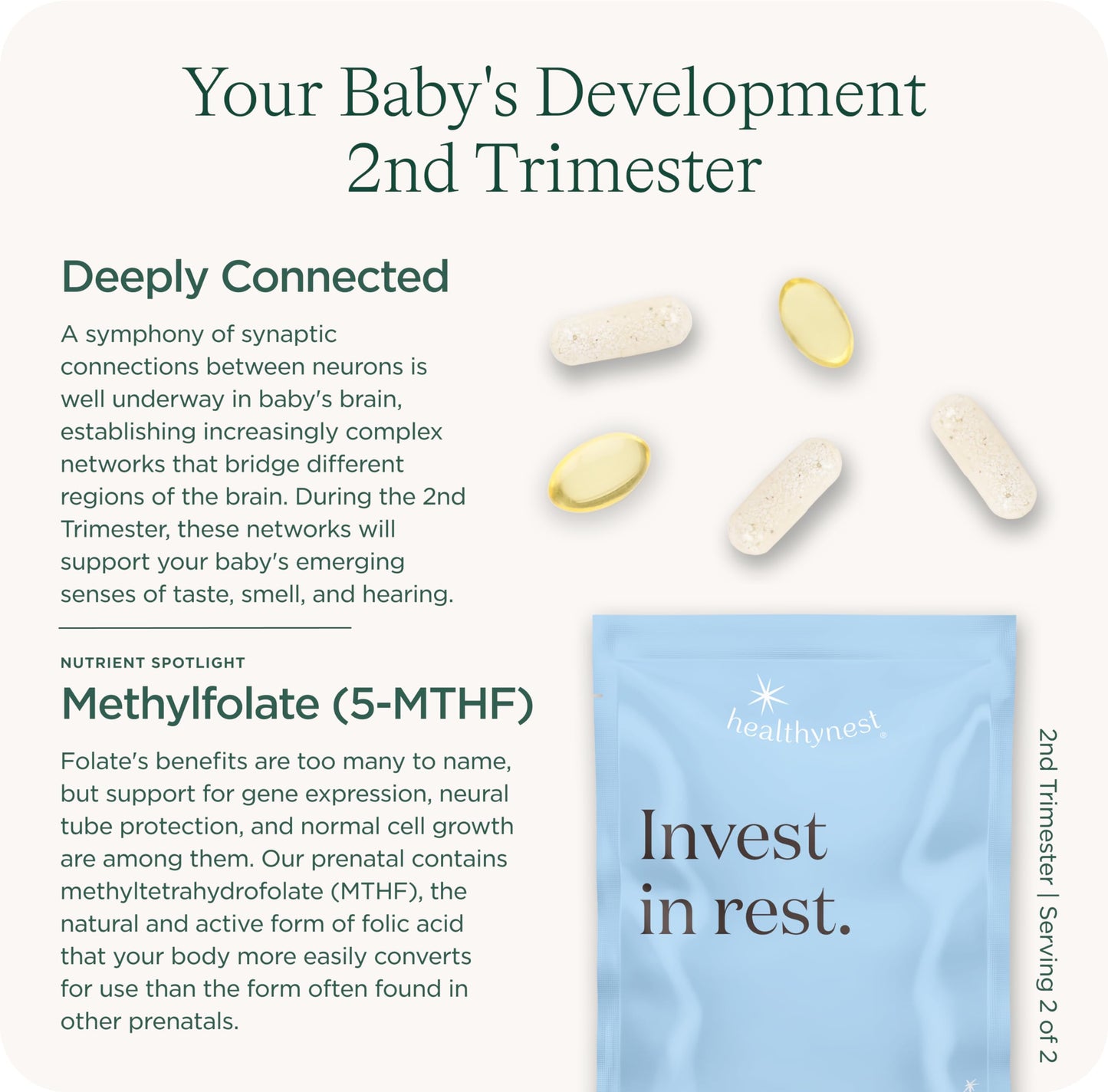 HealthyNest 2nd Trimester Prenatal Vitamin | Fetal Brain Development Support | 31 Day Supply