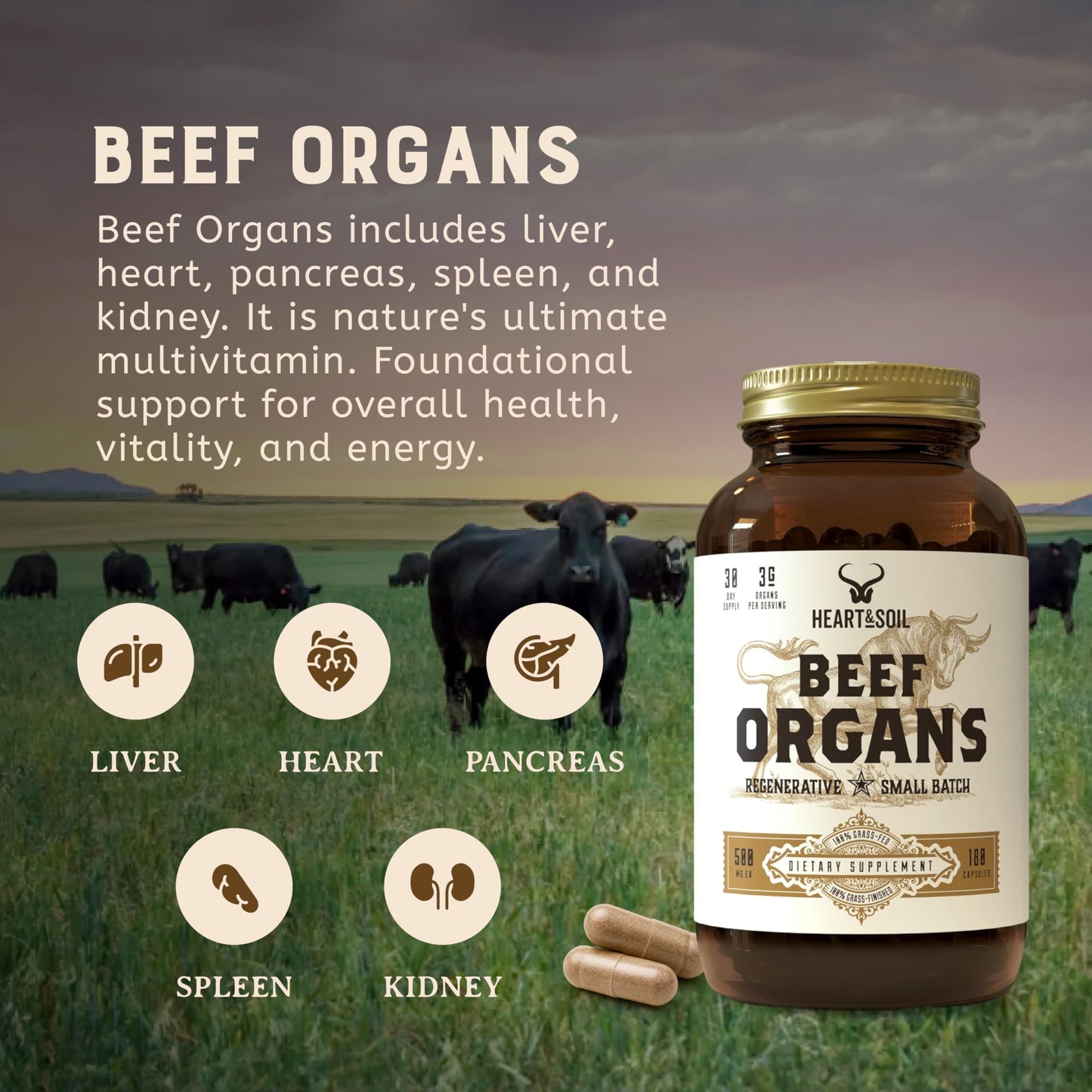 HEART & SOIL – Grass-Fed Beef Organ Supplements (Liver, Heart, Kidney, Pancreas & Spleen) – 180 Capsules