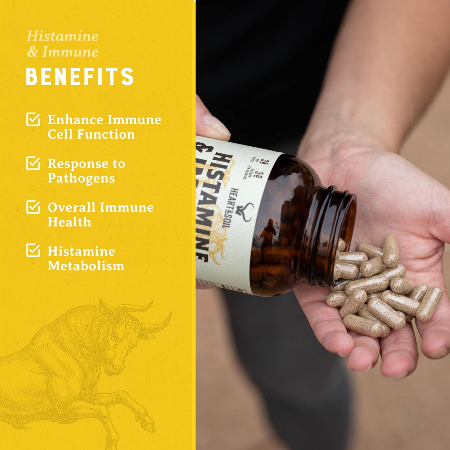 Heart & Soil Histamine & Immune Support – 3000mg DAO Enzyme (180 Capsules)