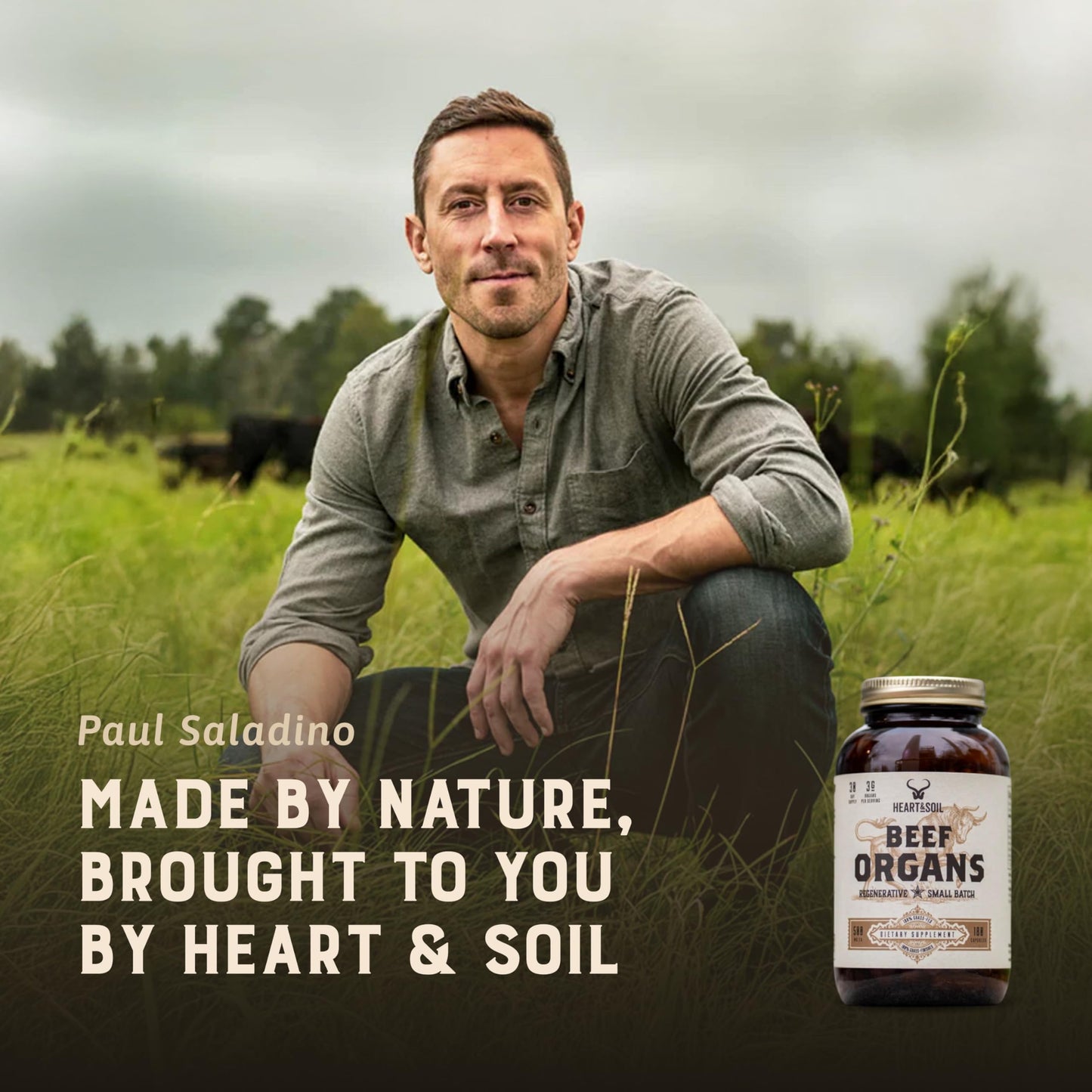 HEART & SOIL – Grass-Fed Beef Organ Supplements (Liver, Heart, Kidney, Pancreas & Spleen) – 180 Capsules