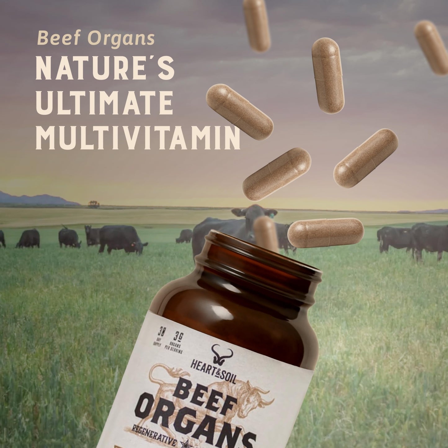 HEART & SOIL – Grass-Fed Beef Organ Supplements (Liver, Heart, Kidney, Pancreas & Spleen) – 180 Capsules