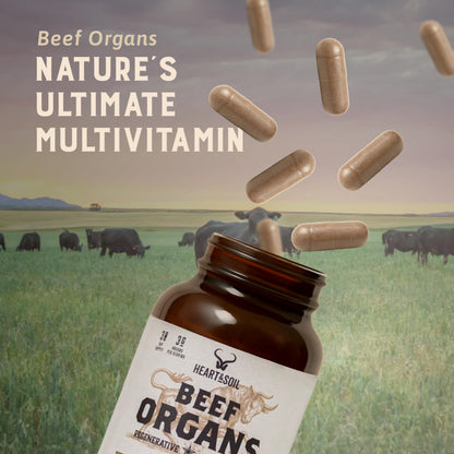 HEART & SOIL – Grass-Fed Beef Organ Supplements (Liver, Heart, Kidney, Pancreas & Spleen) – 180 Capsules