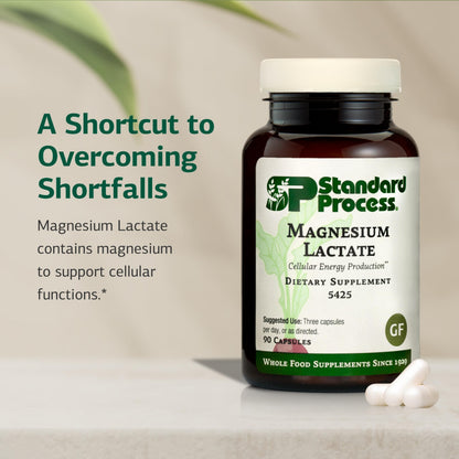 Standard Process Magnesium Lactate 90 Capsules | Energy, Muscle & Bone Support