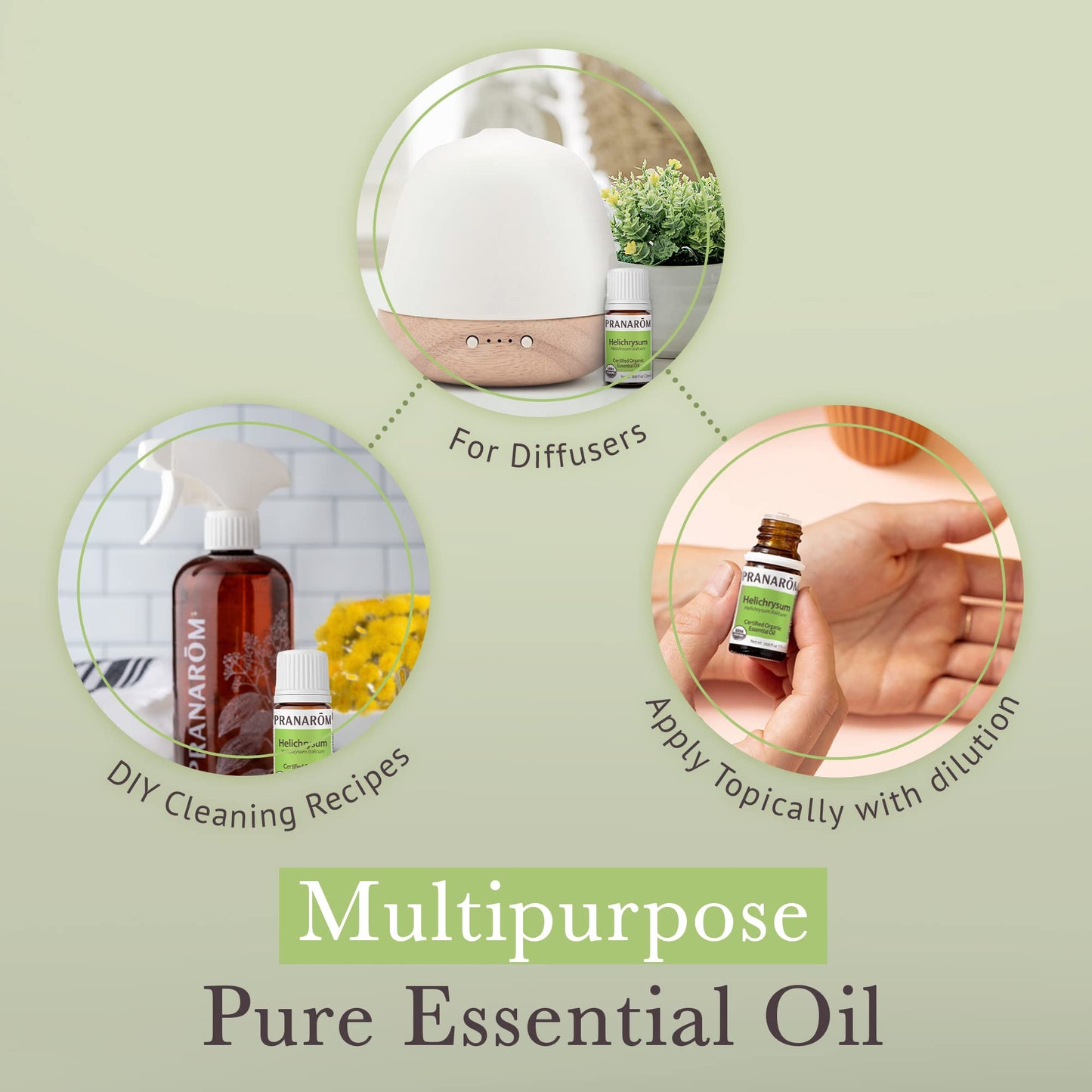 Pranarom Helichrysum Essential Oil 2ml – USDA Organic, Pure Therapeutic Grade