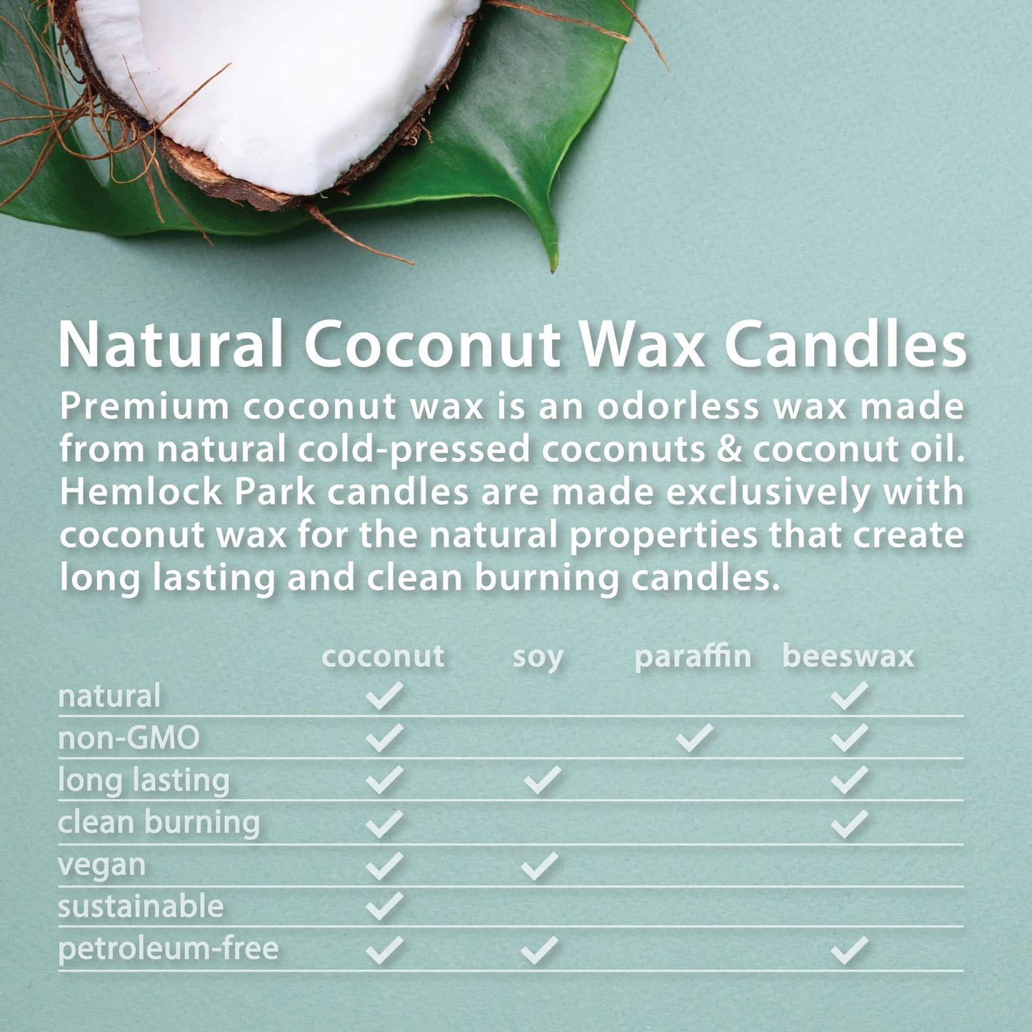 Hemlock Park Crackling Wood Wick Candle – Coconut Wax, Teakwood, 8 oz
