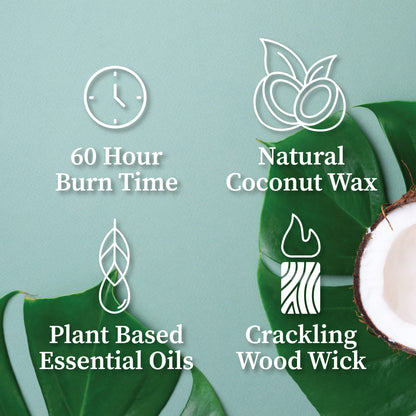 Hemlock Park Crackling Wood Wick Candle - Handcrafted with Natural Coconut Wax (8 oz) Blood Orange Sage