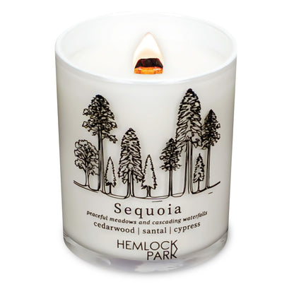 Hemlock Park Travel Inspired Passport Crackling Wood Wick Candle – 7.2 oz Coconut Wax