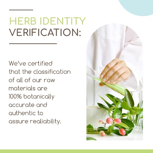HerbEra Cleavers USDA Organic 60 Capsules | Pack of 2 | Natural Herbal Supplement