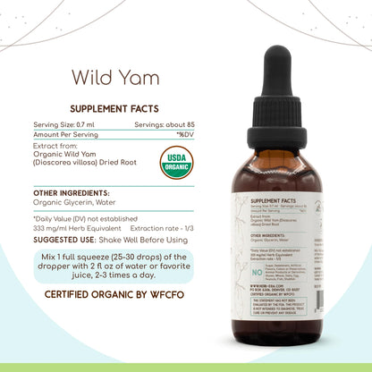 HerbEra Wild Yam B60 Alcohol-Free Herbal Tincture – USDA Organic, 2 fl oz