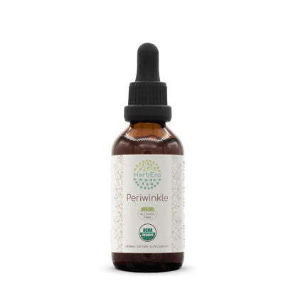 HerbEra Periwinkle B60 USDA Organic Tincture – Alcohol-Free High-Potency Vinca Major Drops (2 oz)