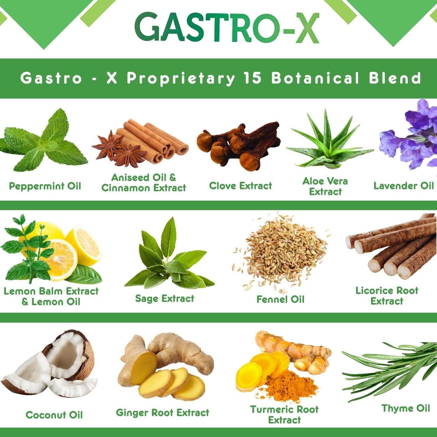 Nurse Harvey's Gastro-X – Herbal Stomach Care Drops (50ml) – Sugar-Free