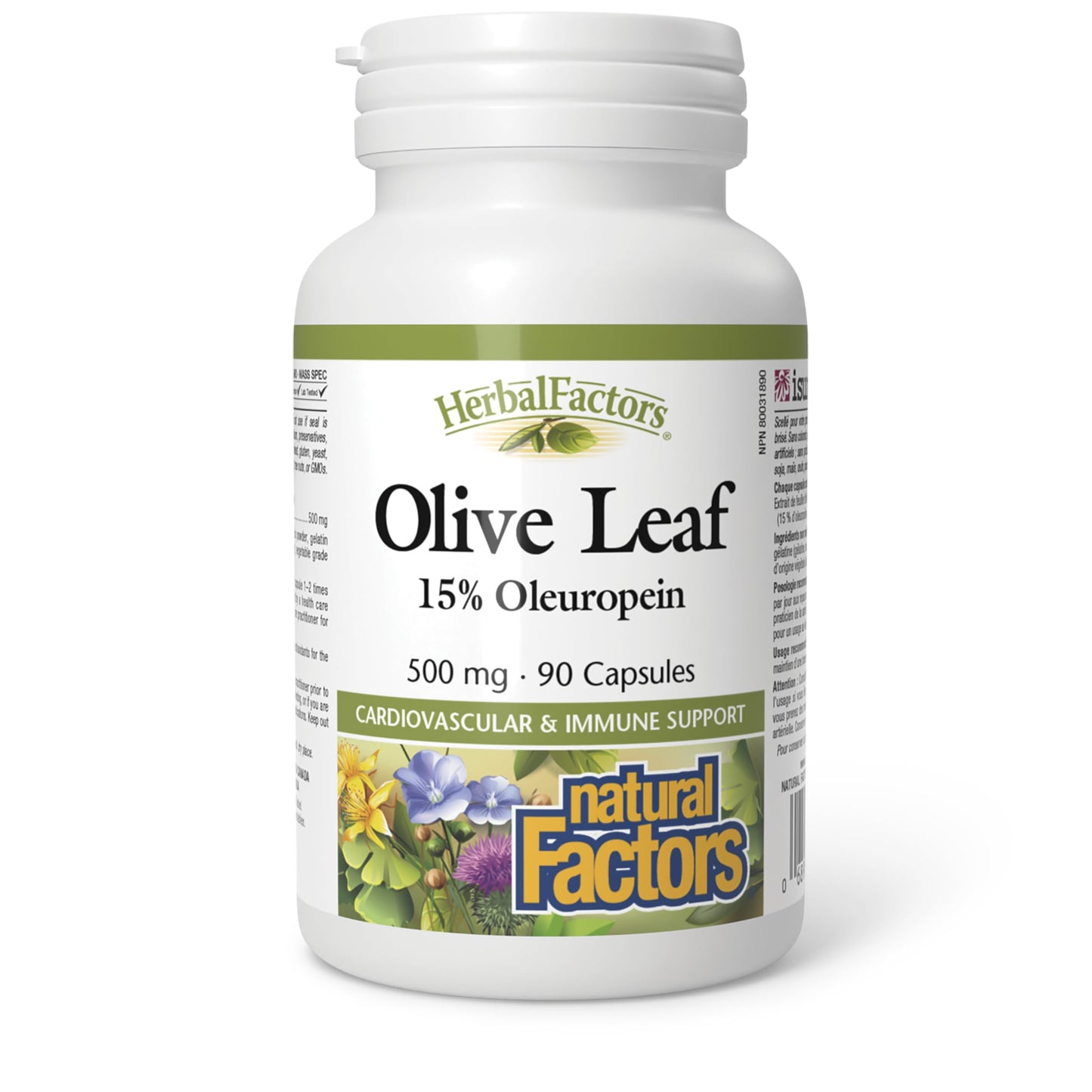 HerbalFactors by Natural Factors - Olive Leaf 500 mg | Natural Wellness Formula | 90 Capsules