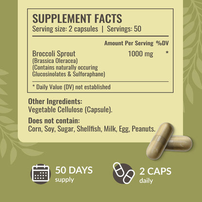 HERBAMAMA Broccoli Sprouts Capsules – 1000mg Broccoli Sprout Extract, Vegan & Non-GMO | Immune & Antioxidant Support (Pack of 2)