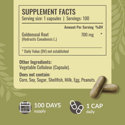Goldenseal Root Capsules 700mg - Immune & Respiratory Support | Vegan, Non-GMO (Pack of 2)