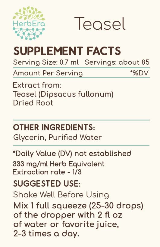 HerbEra Teasel B60 Alcohol-Free Herbal Extract Tincture, Concentrated Liquid Drops Natural Teasel (Dipsacus fullonum, Dipsacus sylvestris) 2 fl oz