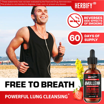 HERBIFY Mullein Drops - Lung Cleanse & Respiratory Support - Strawberry Flavor, 4 oz - Made in USA