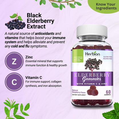HERBION Elderberry Gummies with Vitamin C & Zinc | Immune Support, Gluten-Free & Gelatin-Free, 60 Gummies (USA Made)