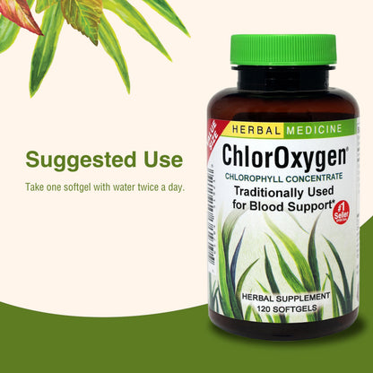 Herbs Etc. ChlorOxygen Chlorophyll Concentrate – Blood Circulation & Altitude Support | 120 Softgels (2 Pack)