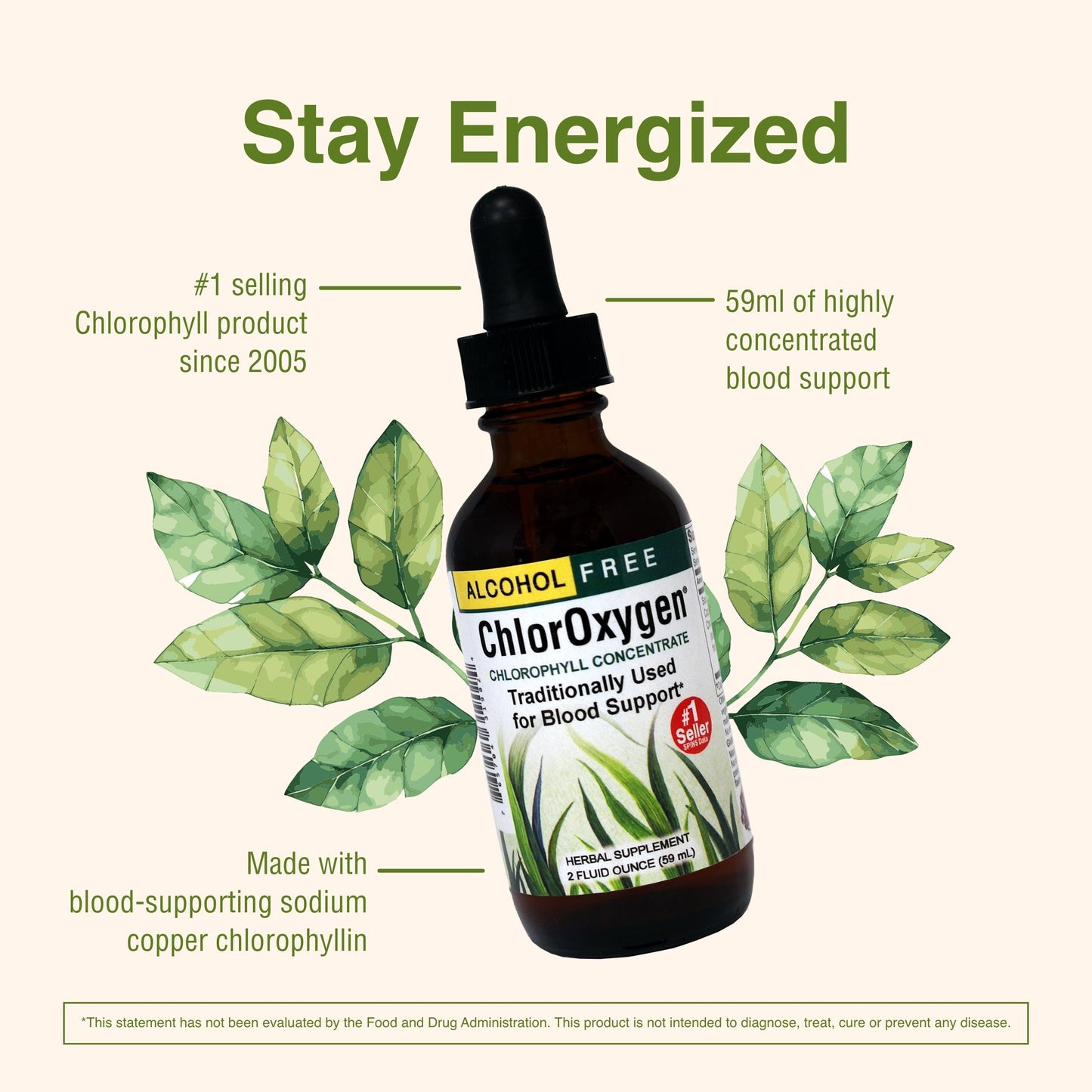 Herbs Etc. ChlorOxygen Chlorophyll Concentrate – High-Concentration Vitality Support (2 Pack, 2 fl oz)