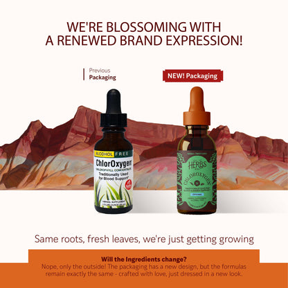 Herbs Etc. ChlorOxygen Chlorophyll Concentrate – High-Concentration Vitality Support (2 Pack, 2 fl oz)