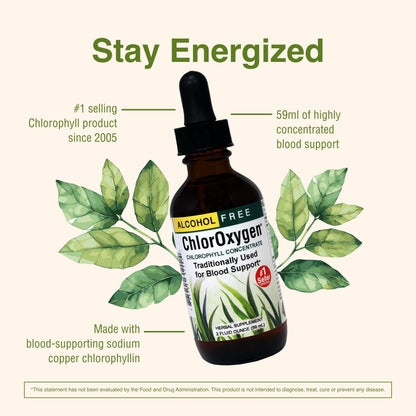 Herbs Etc. ChlorOxygen Chlorophyll Concentrate – High-Concentration Vitality Support (2 Pack, 2 fl oz)