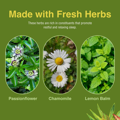 Herbs Etc. Deep Sleep - Natural Herbal Sleep Aid (Non-Habit Forming) 4 oz Liquid Extract - 2 Pack
