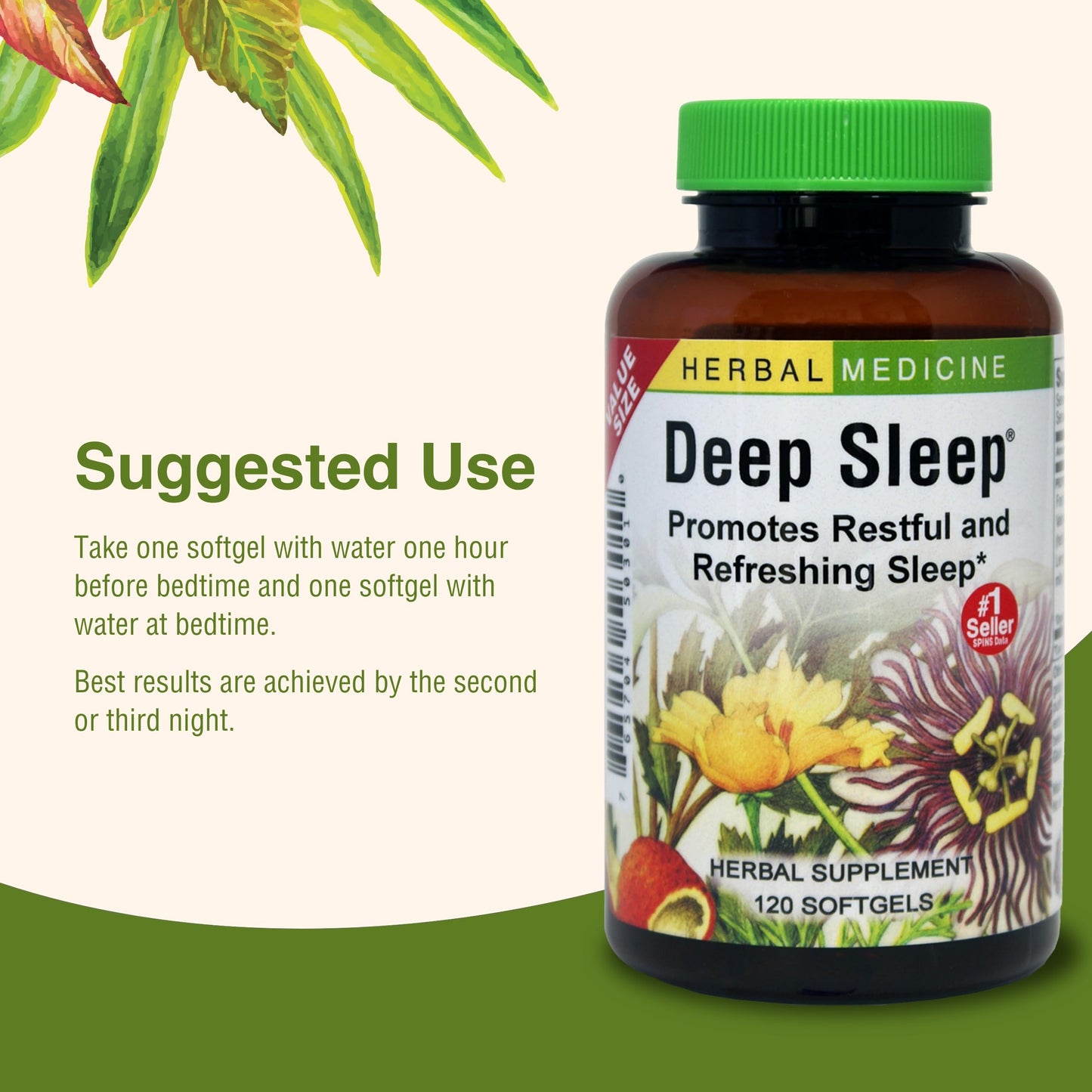 Herbs Etc. Deep Sleep Softgels – Herbal Sleep Support with Passionflower, Chamomile & Lemon Balm – 120 Softgels (2 Pack)