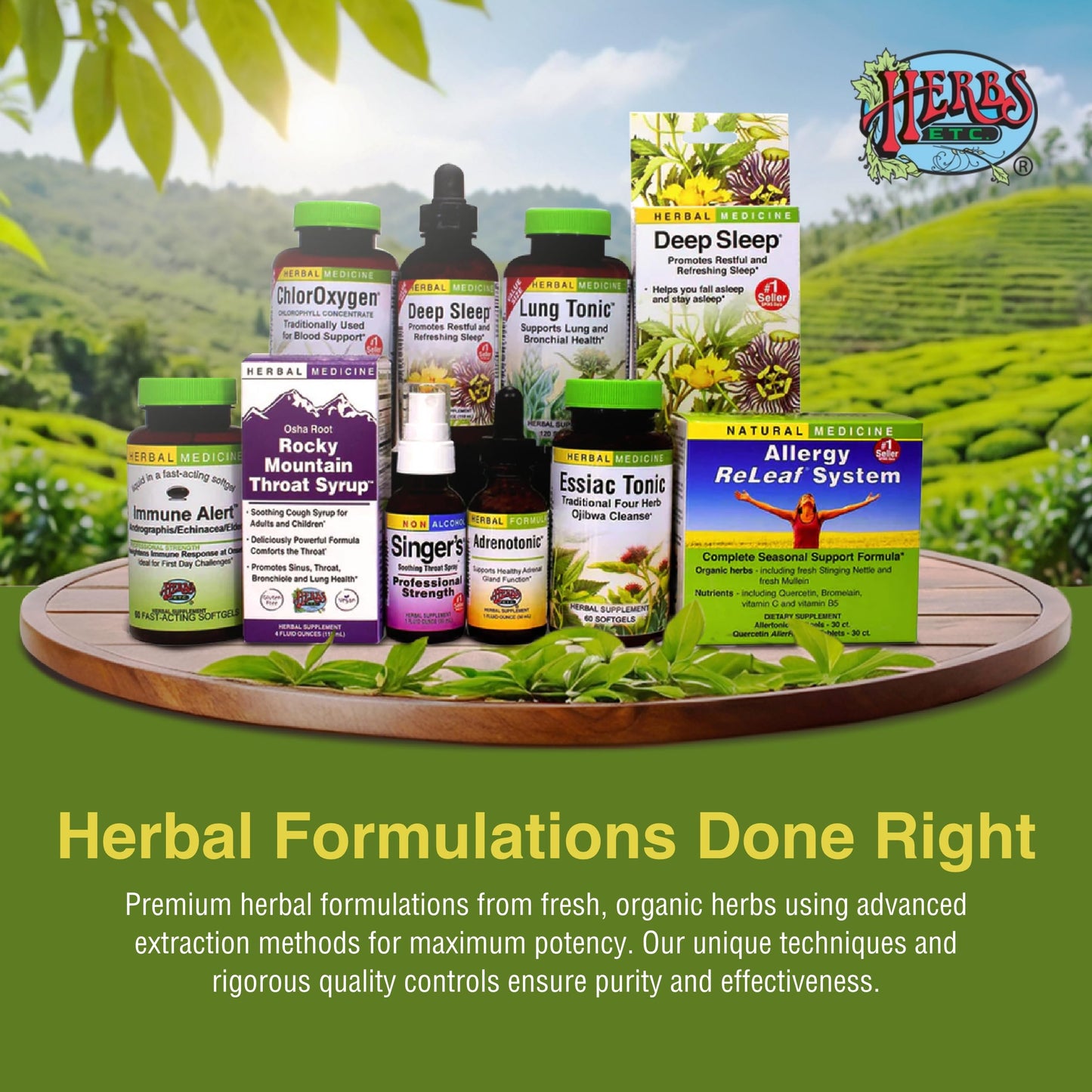 Herbs Etc. Deep Sleep Softgels – Herbal Sleep Support with Passionflower, Chamomile & Lemon Balm – 120 Softgels (2 Pack)