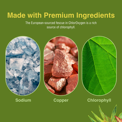 Herbs Etc. ChlorOxygen Chlorophyll Concentrate – Blood Circulation & Altitude Support | 120 Softgels (2 Pack)