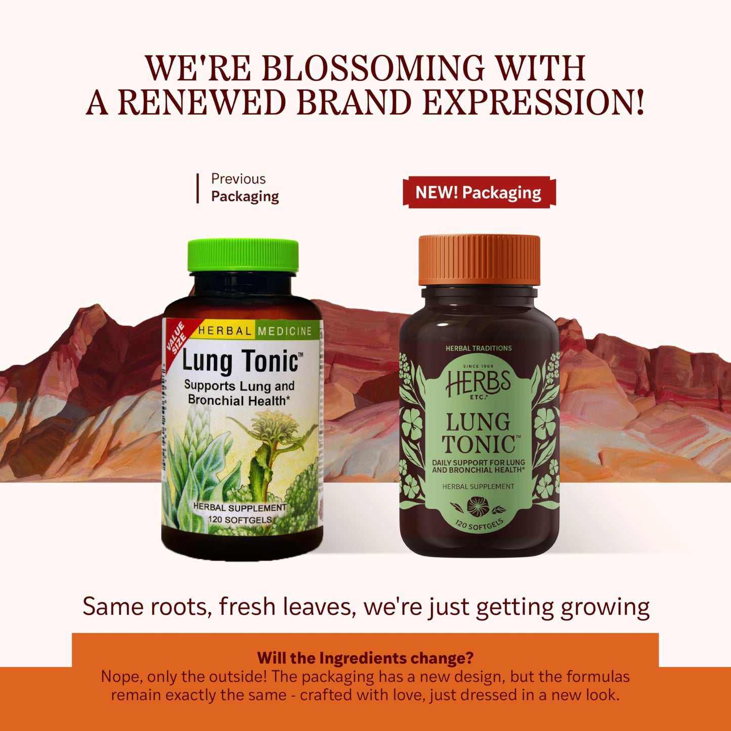 Herbs Etc. Lung Tonic - Bronchial Support for Healthy Breathing | 120 Softgels