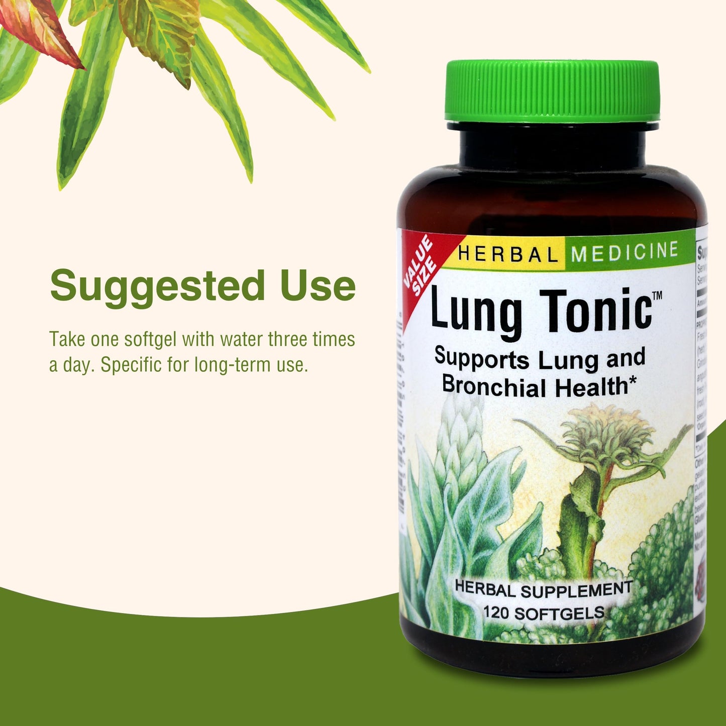 Herbs Etc. Lung Tonic - Bronchial Support for Healthy Breathing | 120 Softgels