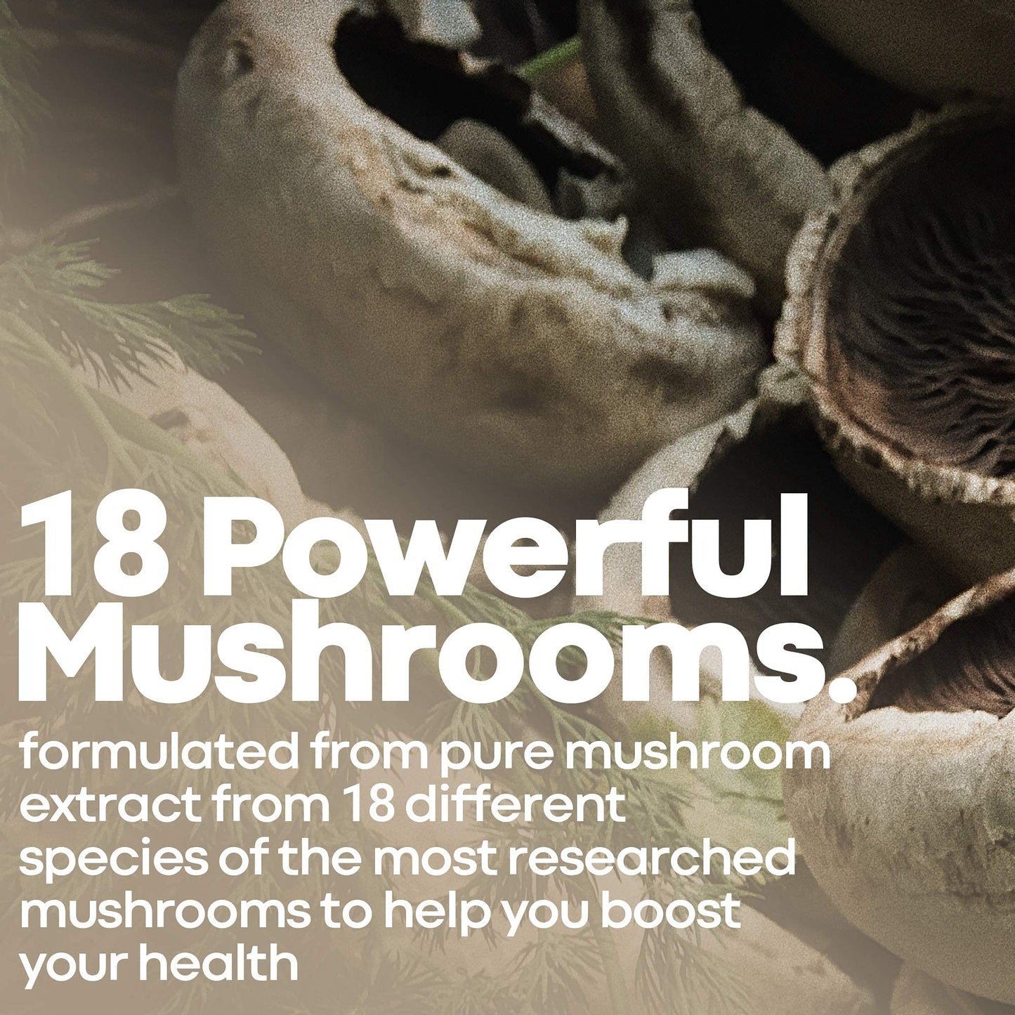 Herbtonics All-in-One Mushroom Supplement for Immune System Support | 120 Vegan Capsules