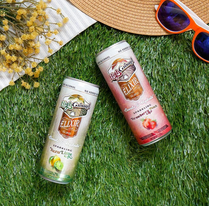 High Ground Elixir Mushroom Seltzer Variety Pack – Focus & Stress Adaptogens