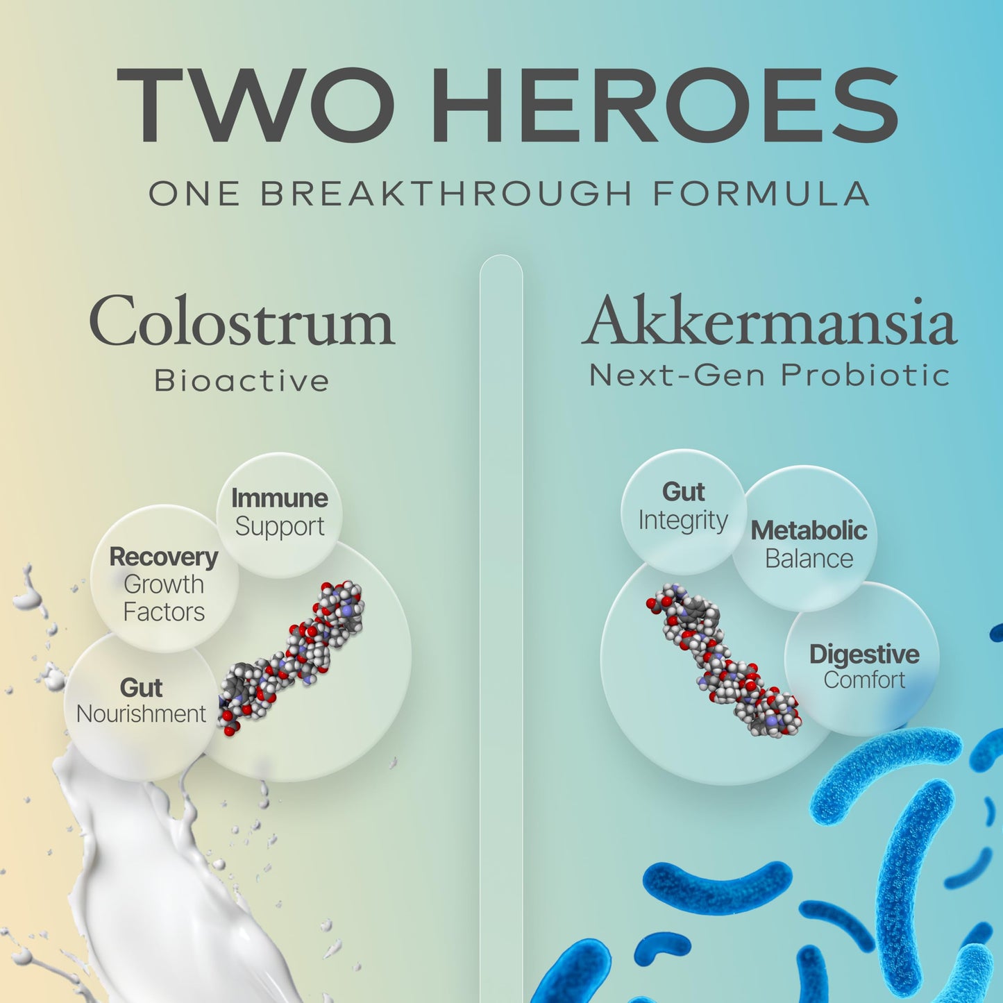 Prime Powders Colostrum Powder with Akkermansia | Grass-Fed Bovine, 1B AFU Probiotic | Gut Support, IgG Rich | 120 Servings